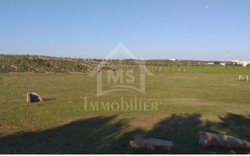 Terrain 4
