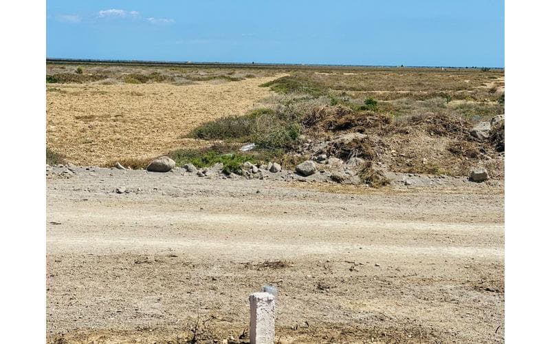 Terrain