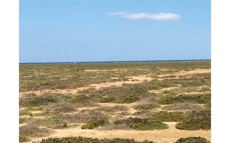 Terrain