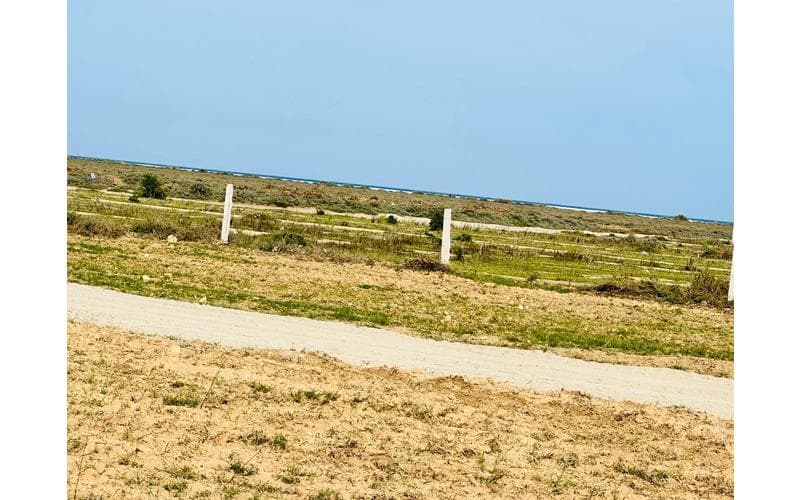 Terrain 2