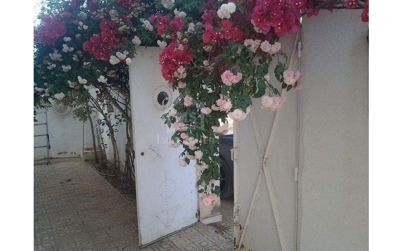 Maison s+3