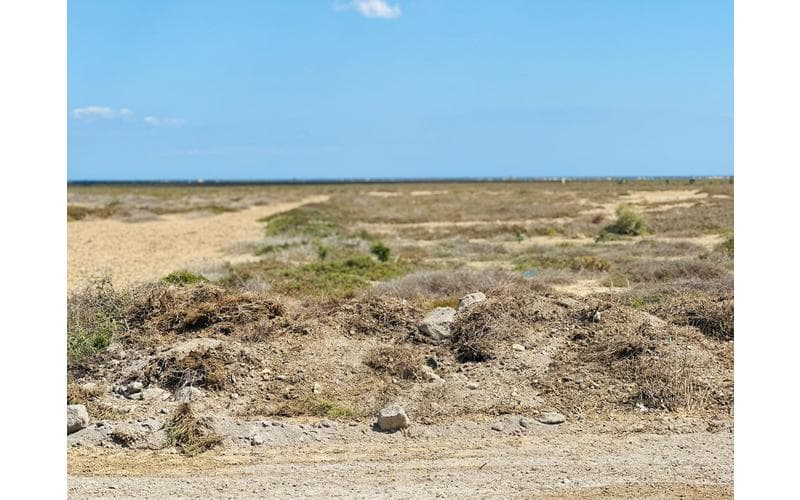 Terrain 2