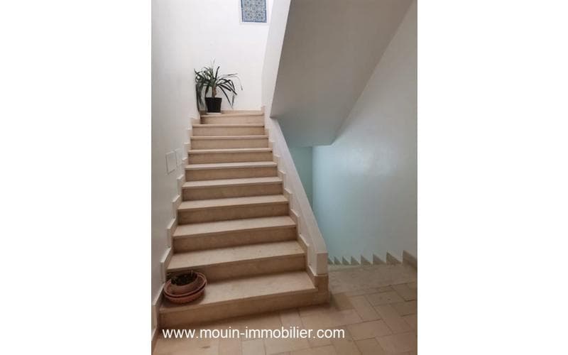 Appartement s+1 7