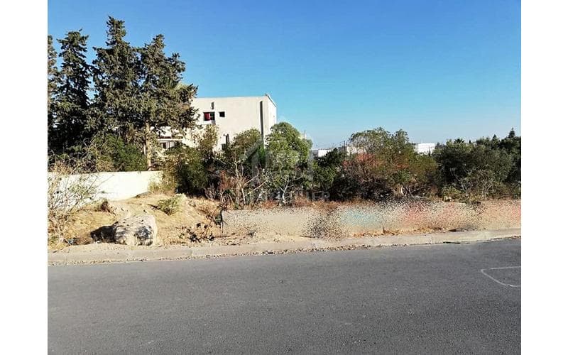 Terrain 3