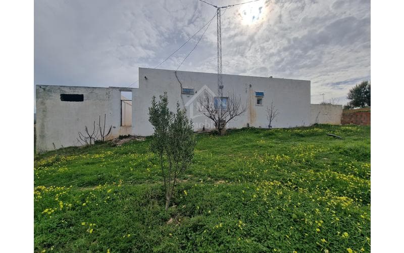 Maison s+5 et plus