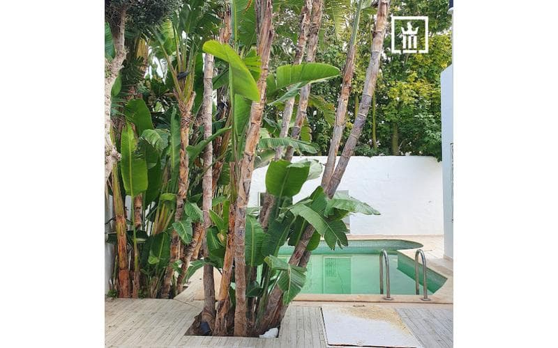 Maison s+3 4