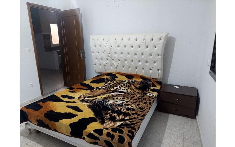 Appartement s+2 4