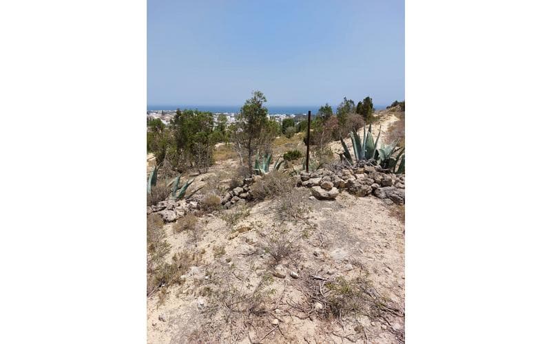 Terrain 2