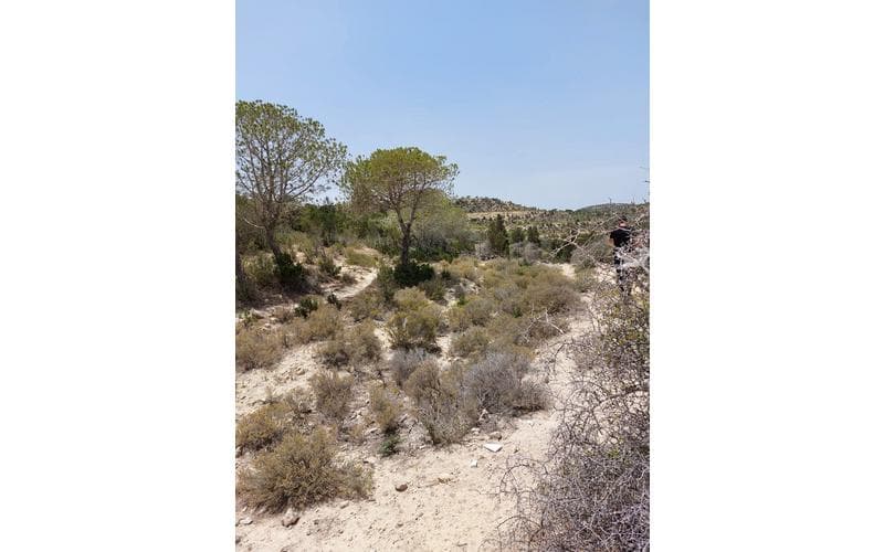 Terrain 3