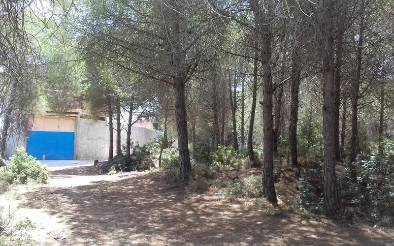 Terrain