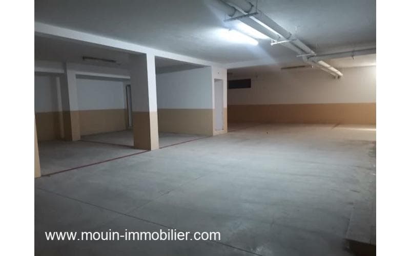 Appartement s+1