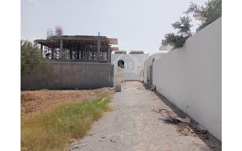 Terrain 5