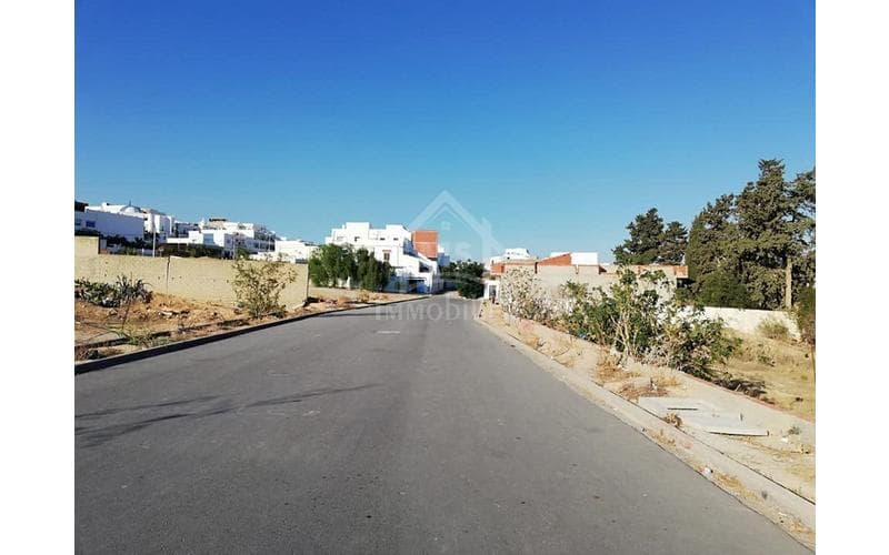 Terrain 2