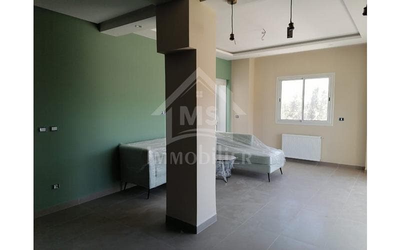 Appartement s+2 3