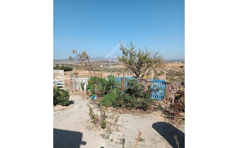 Terrain 2
