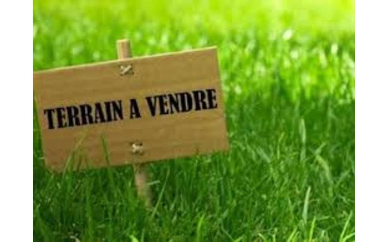 Terrain