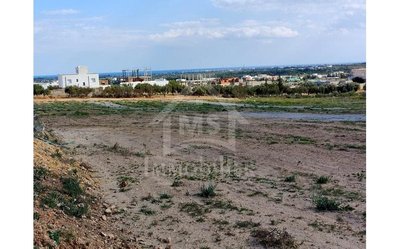 Terrain 8
