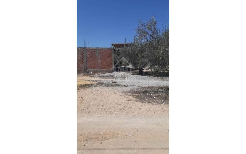 Terrain 4