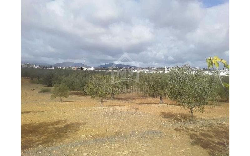 Terrain 3
