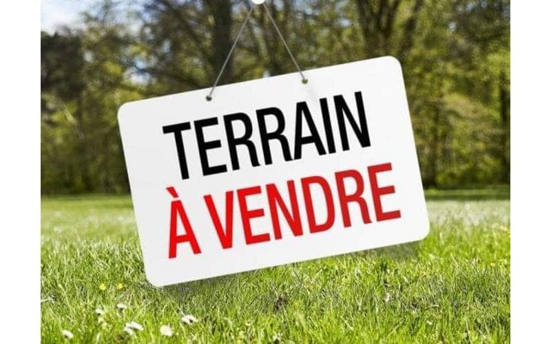 Terrain