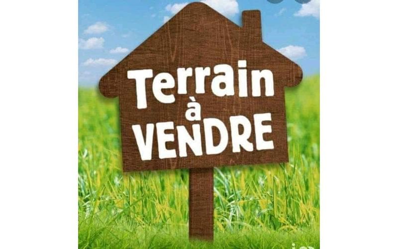 Terrain
