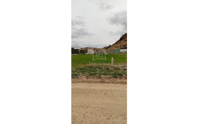 Terrain 3