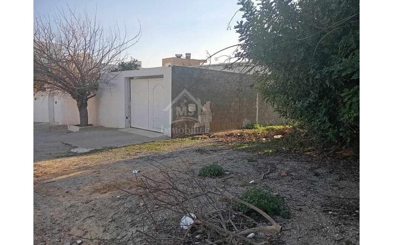 Terrain 2