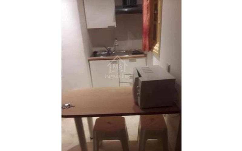 Appartement s+1 7
