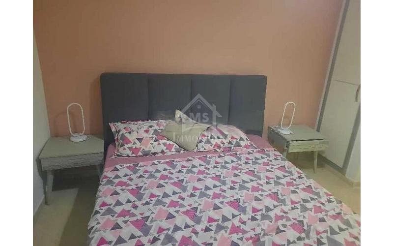 Appartement s+1 5