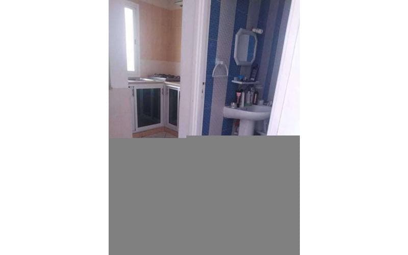 Appartement s+1 16