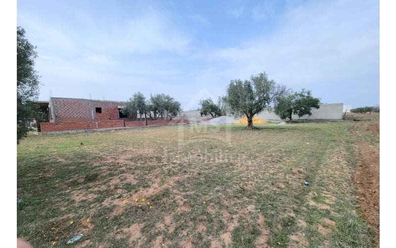 Terrain
