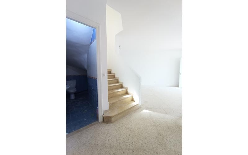 Duplex s+2 3