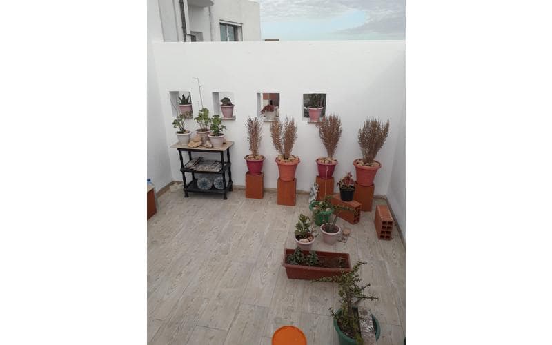 Appartement s+2 10