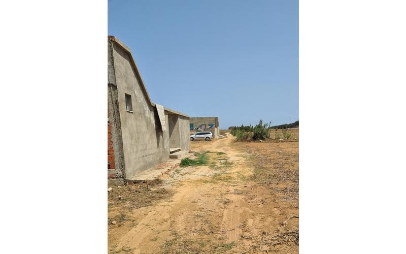 Terrain 4