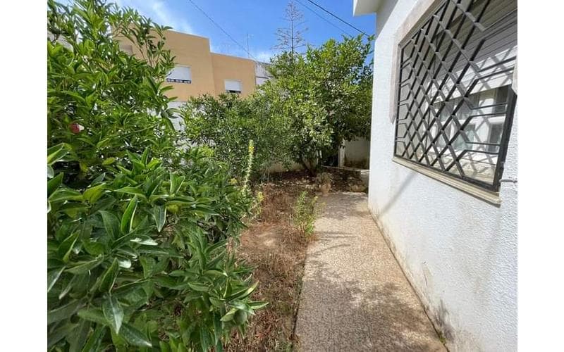 Villa s+5 et plus 3