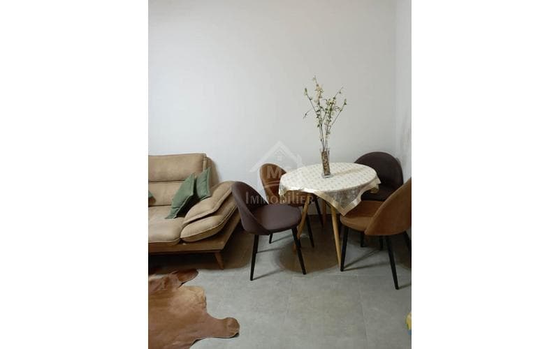 Appartement s+1 3