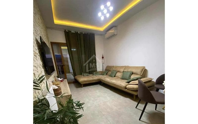 Appartement s+1 9