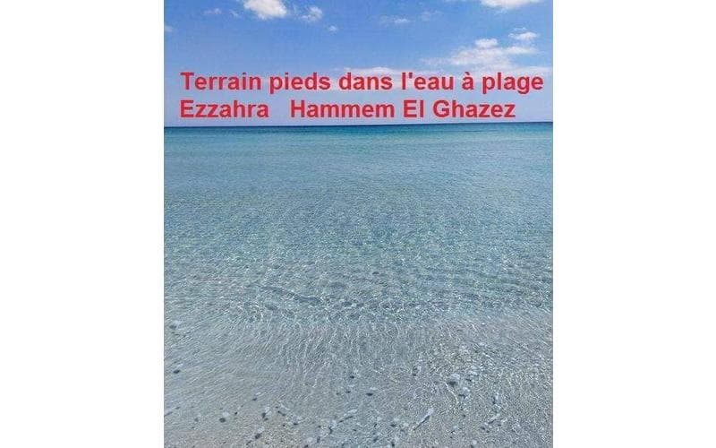 Terrain 2