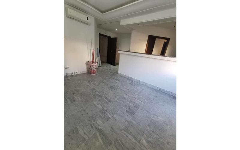 Appartement s+1