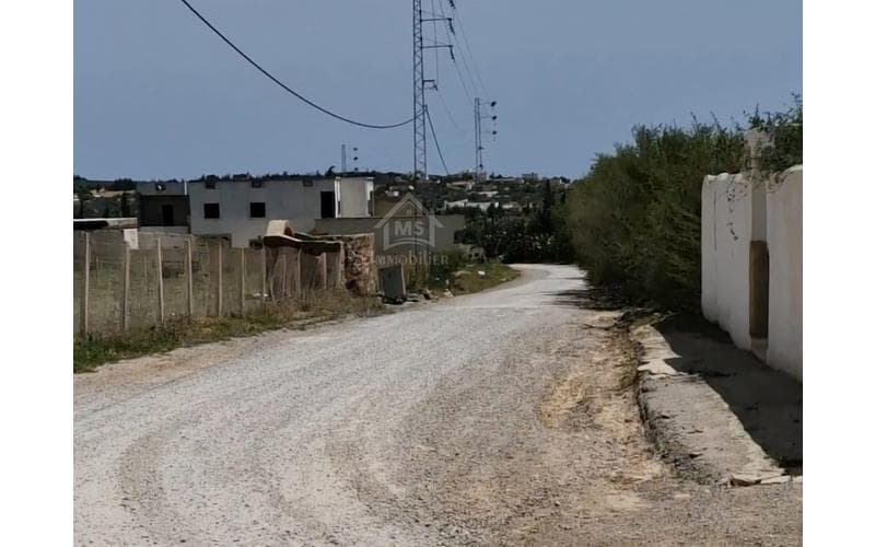 Terrain 13