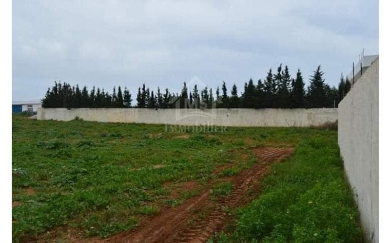 Terrain 5