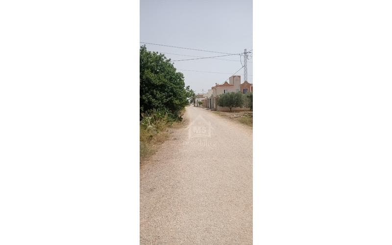 Terrain 2