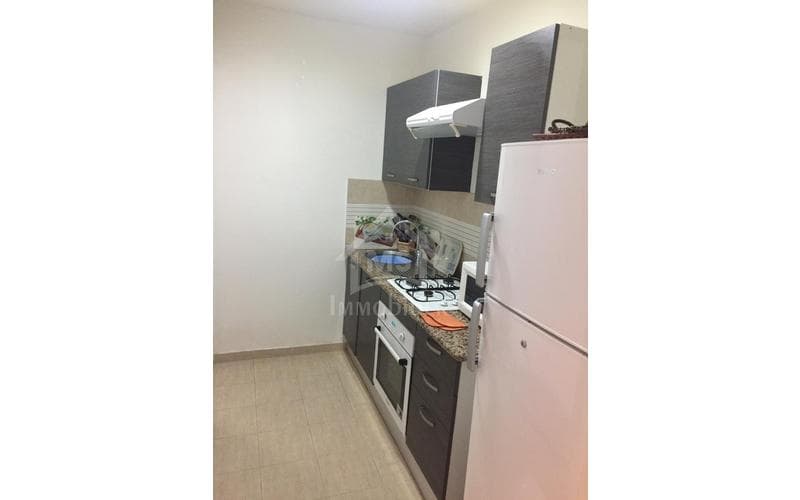 Appartement s+1 12