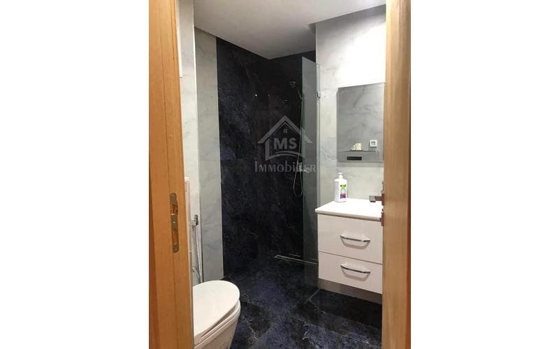 Appartement s+1 2