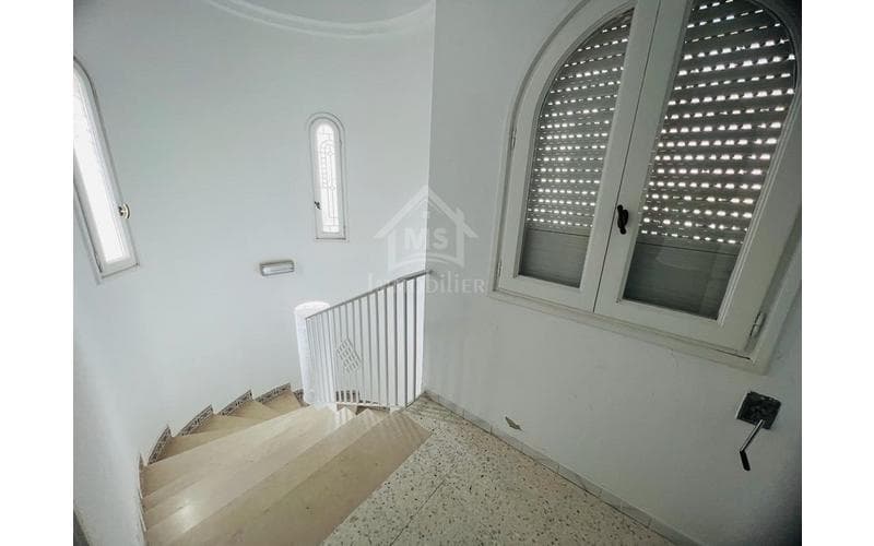 Duplex s+3 7