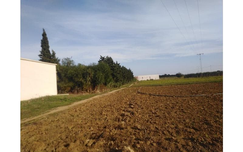 Terrain 3