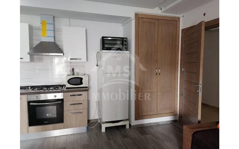 Appartement s+1 3