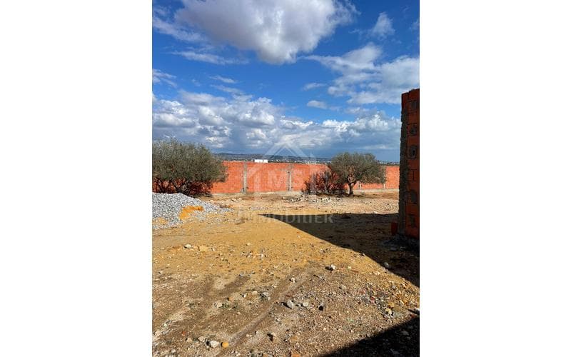 Terrain 4