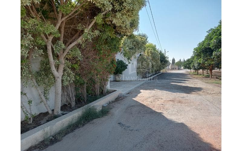 Terrain 2