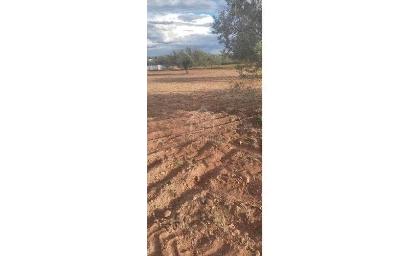 Terrain 3